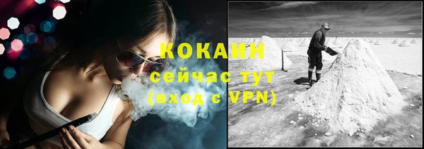 ешки Арсеньев