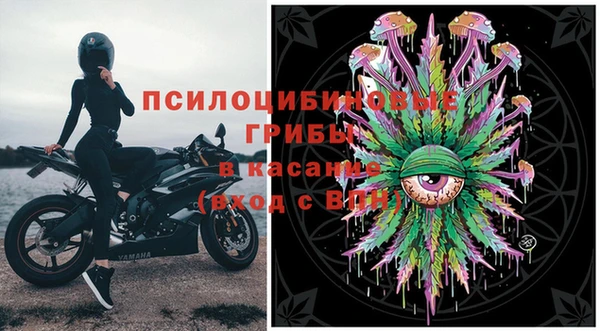 ешки Арсеньев