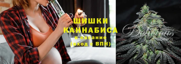 ешки Арсеньев
