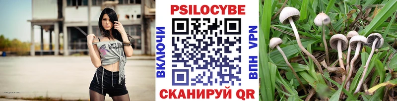 где можно купить наркотик  Рыльск  Галлюциногенные грибы мицелий 